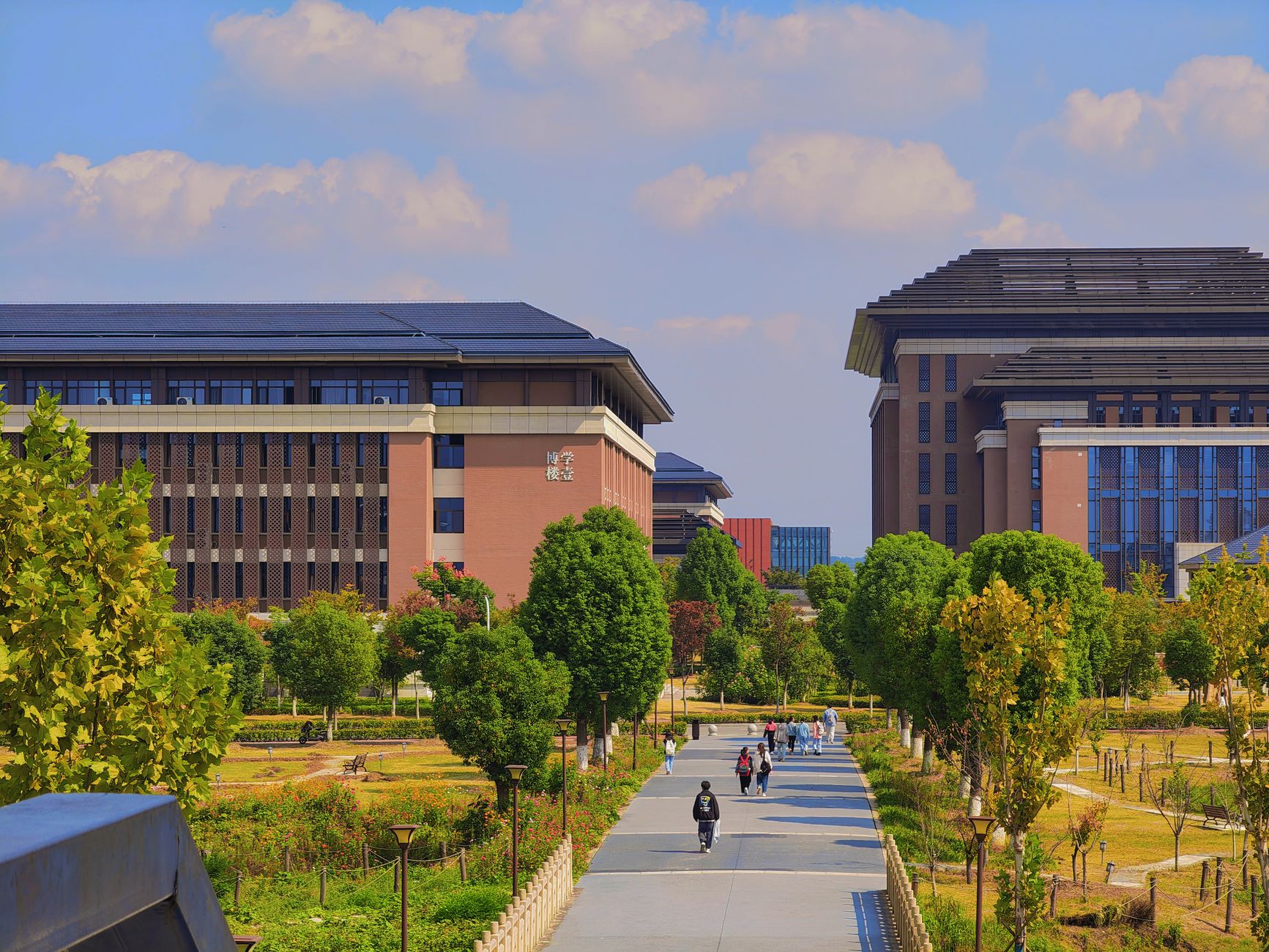 studyca-org-cn 配图