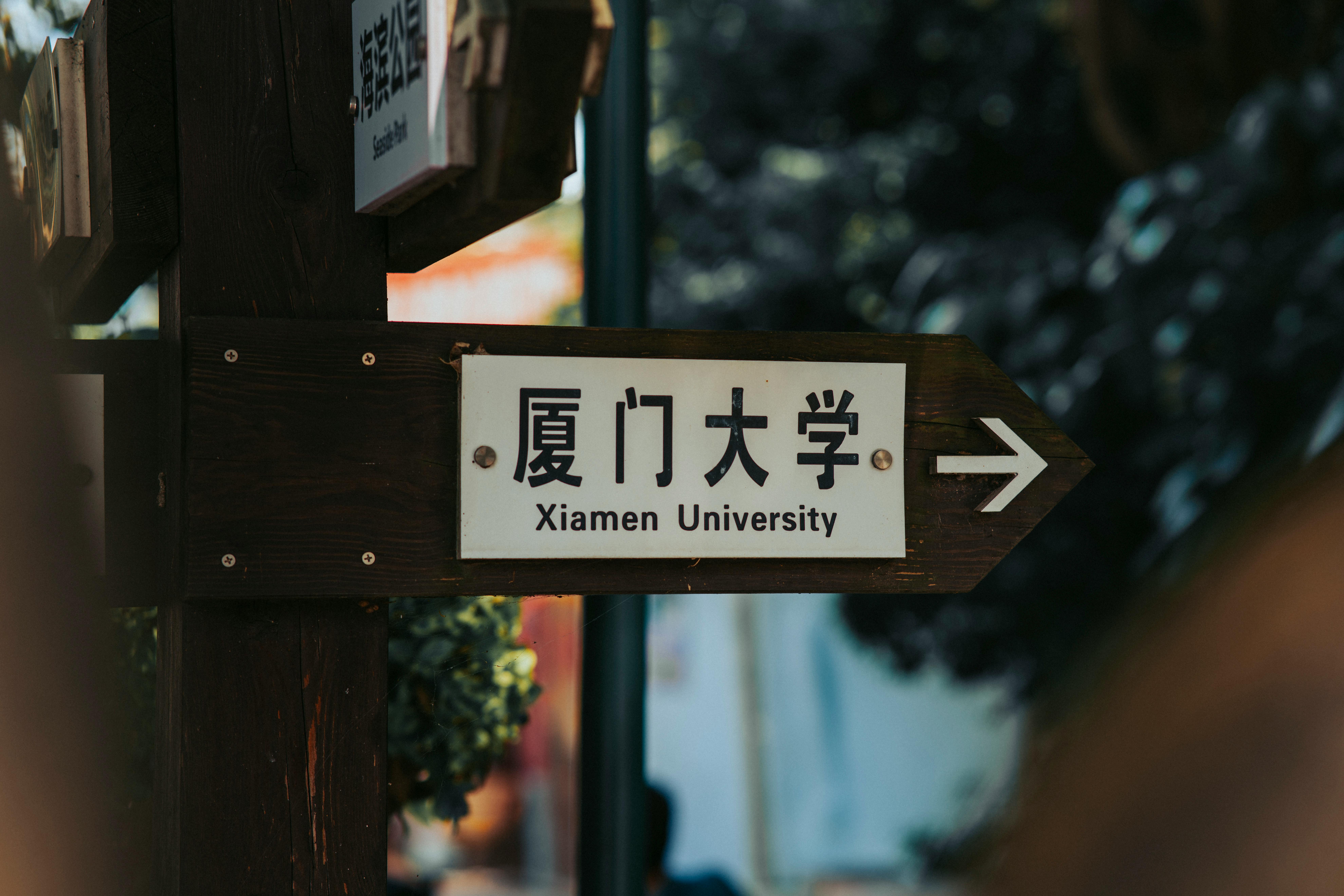 2026加拿大留学全流程：从申请到毕业工签的稳定指南