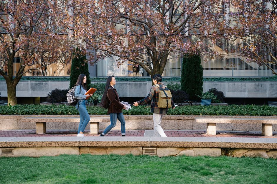 university, toronto, ontario, architecture, gothic, canada, stone, campus, exterior, school, brown school, toronto, toronto, toronto, toronto, toronto, ontario, campus, campus, campus